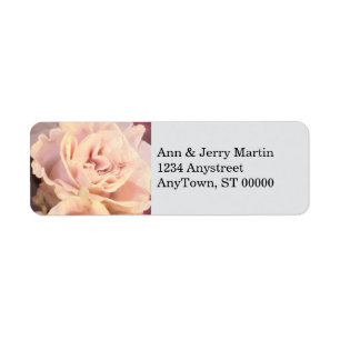 Pretty Pink Rose On Pale Gray 