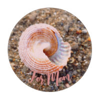 Pretty Pink Seashell