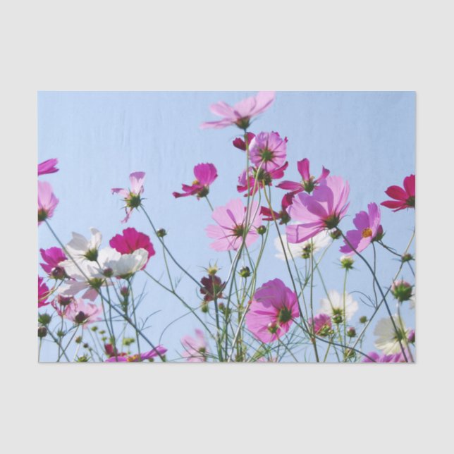 Pretty Pink Spring Meadow Flowers Tissue Paper (Front)