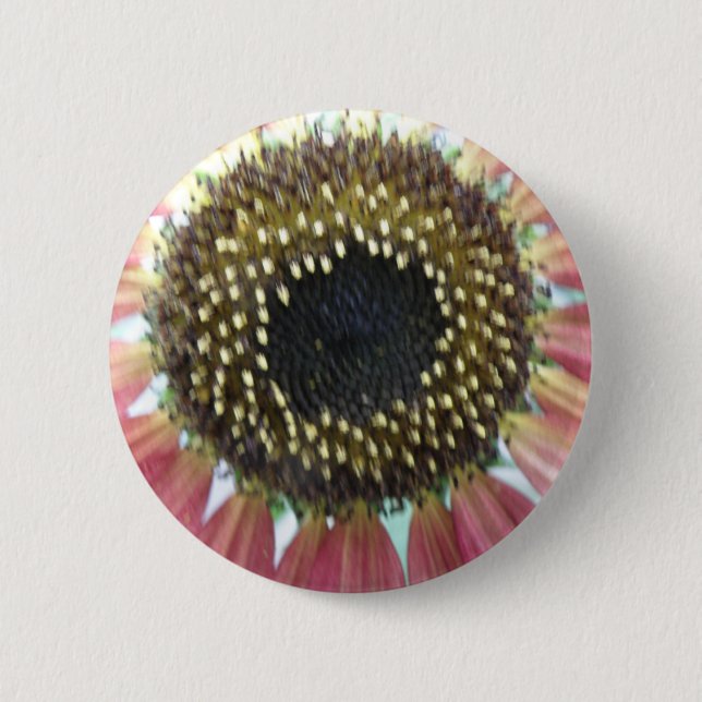 Pretty Pink Sunflower Button (Front)