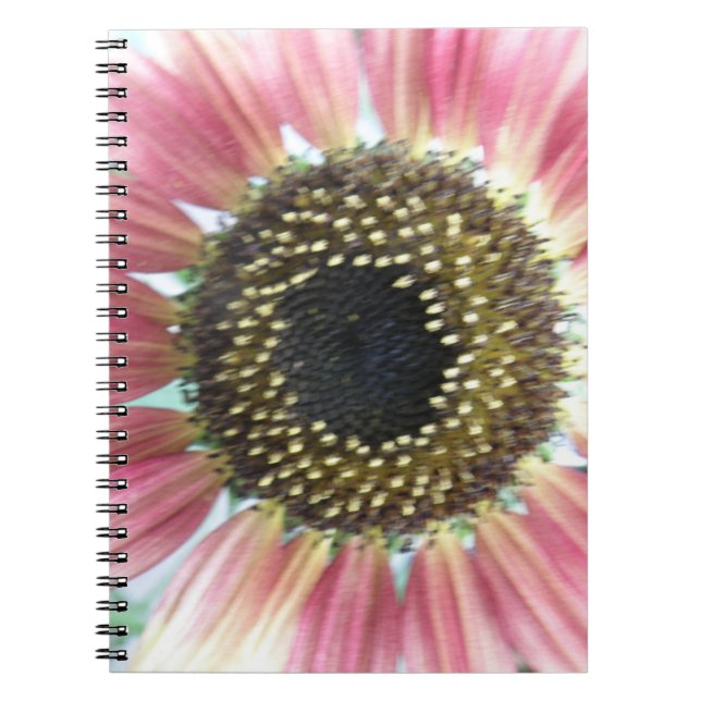 Pretty Pink Sunflower Notebook (Front)