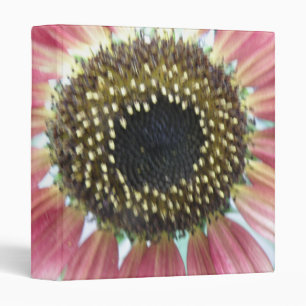 Pretty Pink Sunflower Photograph Album Binder