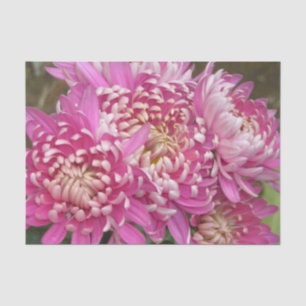 Pretty Pink Tissue Paper