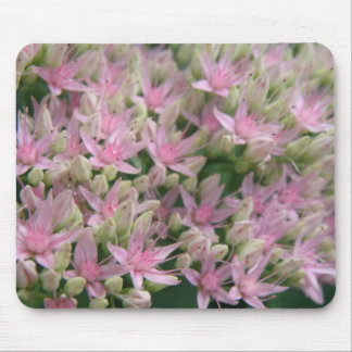 Pretty Pink Tropical Flowers Mousepad