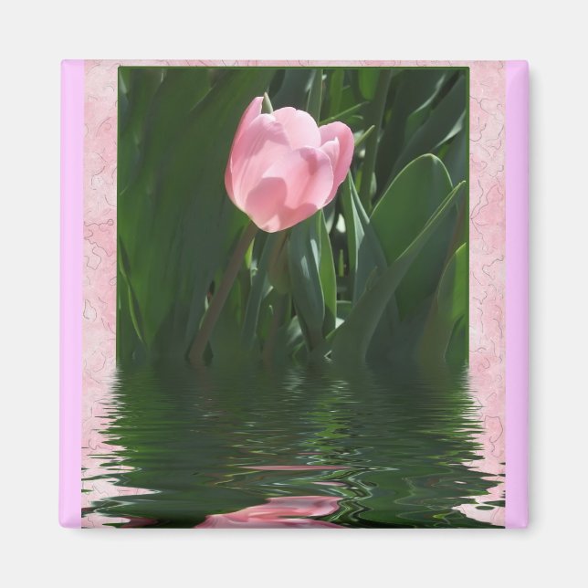 Pretty Pink Tulip Magnet (Front)