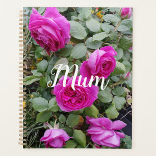 Pretty Pink Vintage Rose Flower Birthday Mum Mug N Planner