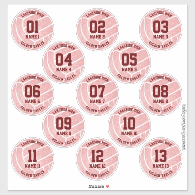 pretty pink volleyball sports themed celebration (Sheet)