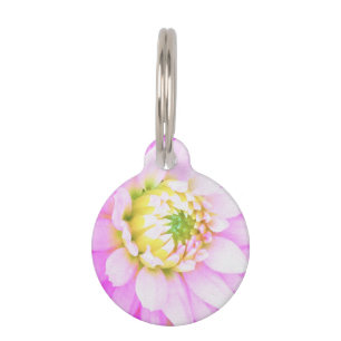 Pretty Pink, White and Yellow Cactus Dahlia Macro Pet Tag