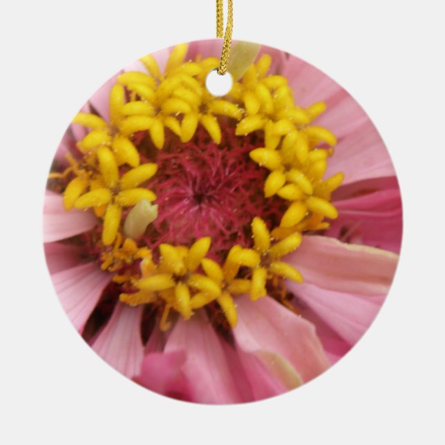 Pretty Pink Zinnia Custom Birthday Ceramic Ornament (Front)
