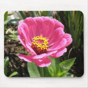 Pretty Pink Zinnia Mousepad