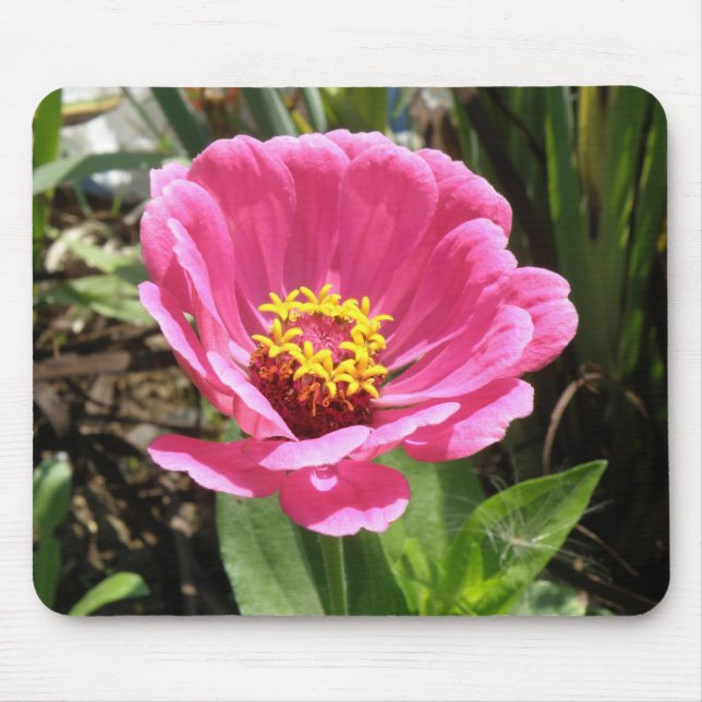 Pretty Pink Zinnia Mousepad (Front)