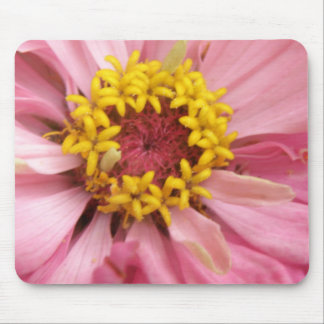 Pretty Pink Zinnia Mousepad