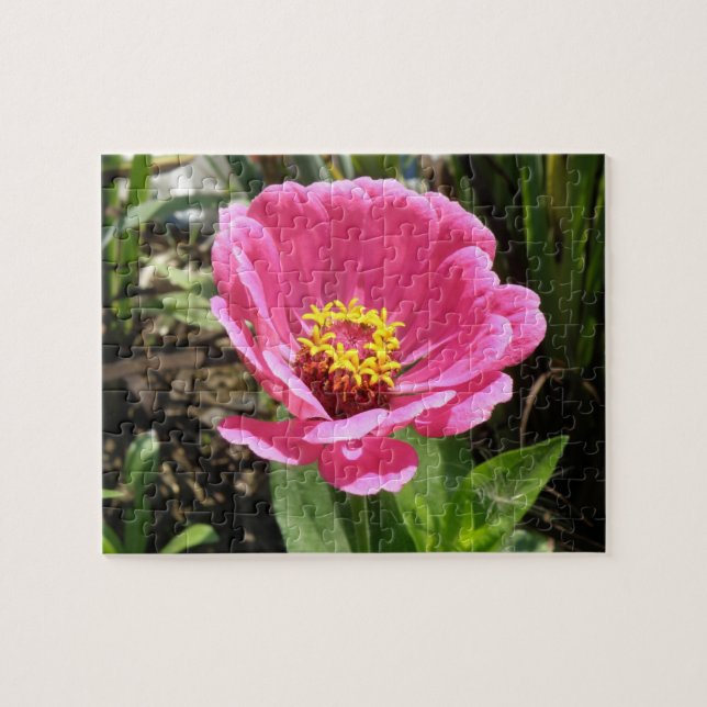 Pretty Pink Zinnia Puzzle (Horizontal)