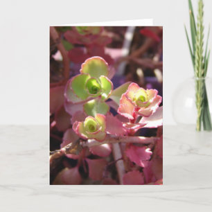 Pretty Plant Card
