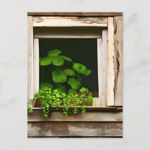 Pretty Plants in Rustic Window with Weathered Wood Postcard