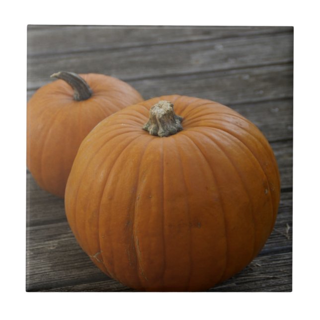 Pretty Plump Pumpkins Tile (Front)