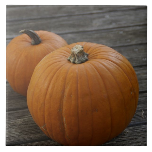 Pretty Plump Pumpkins Tile (Front)