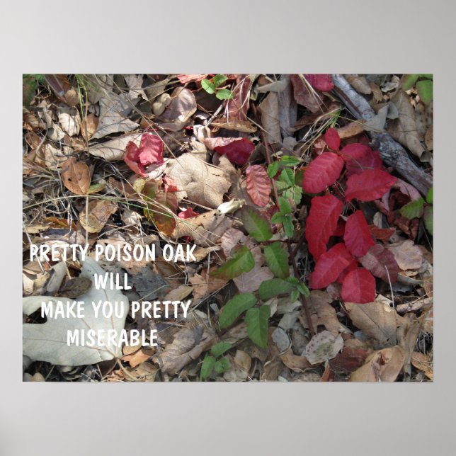 Pretty Poison Oak Warning Poster (Front)
