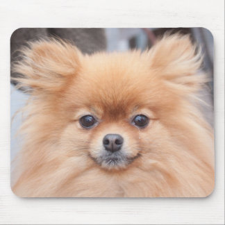 Pretty Pomeranian Mouse Pad