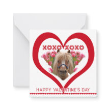 Pretty Pony in Red Valentine's Day Cards for Kids