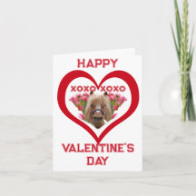 Pretty Pony in Red Valentine's Day Cards for Kids