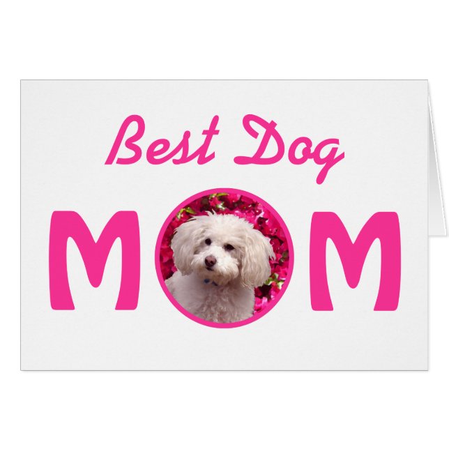 Pretty Poodle (Front Horizontal)