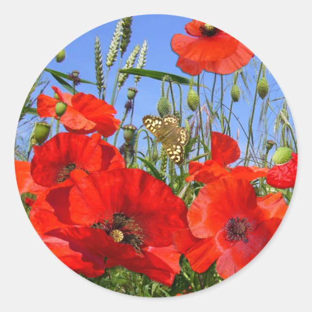 Pretty Poppy Field with Butterfly Classic Round Sticker (Front)