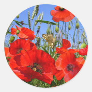 Pretty Poppy Field with Butterfly Classic Round Sticker