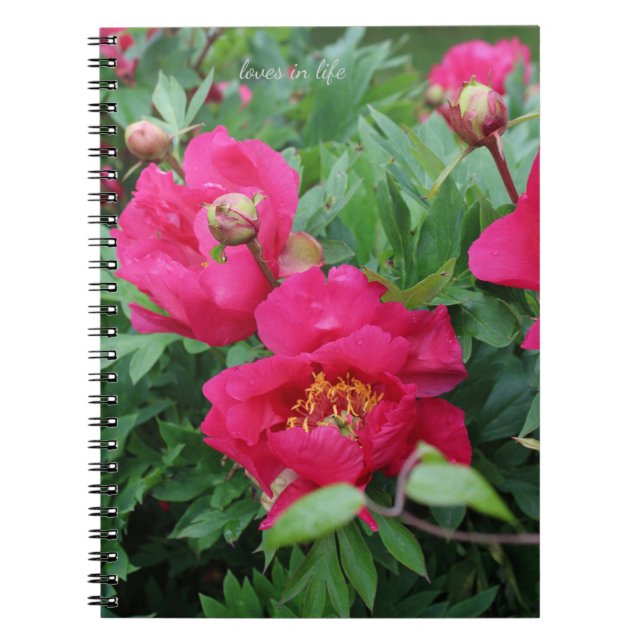 Pretty Pretty Pink Peonies Notebook (Front)