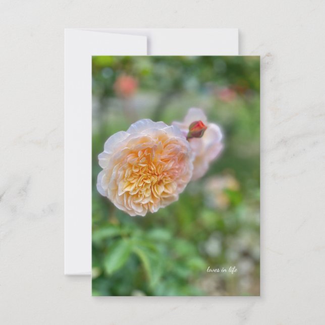 Pretty Pretty Rose Card (Front)