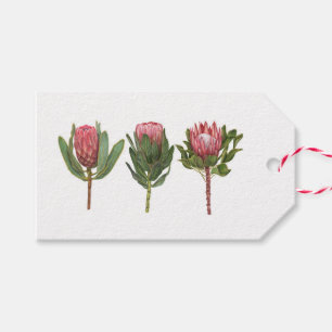 Pretty Protea Tag