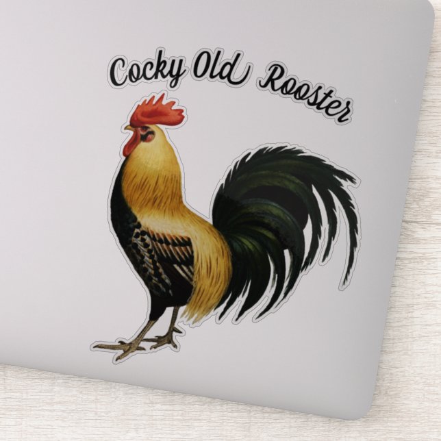 Pretty Proud Rooster (Detail)