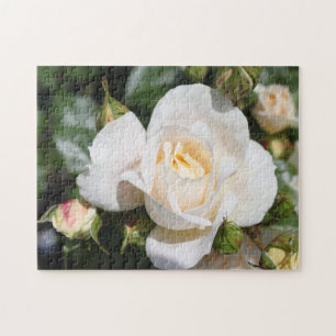 pretty pure white rose flowers. love, romance jigsaw puzzle