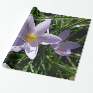 Pretty purple garden flower. 美丽的紫色花 wrapping paper