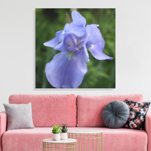 Pretty Purple Iris Flower Canvas Print