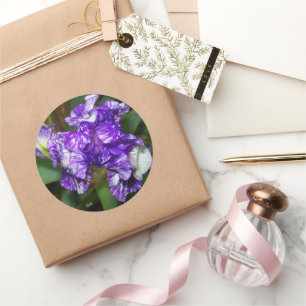 Pretty Purple Iris Flower  Classic Round Sticker