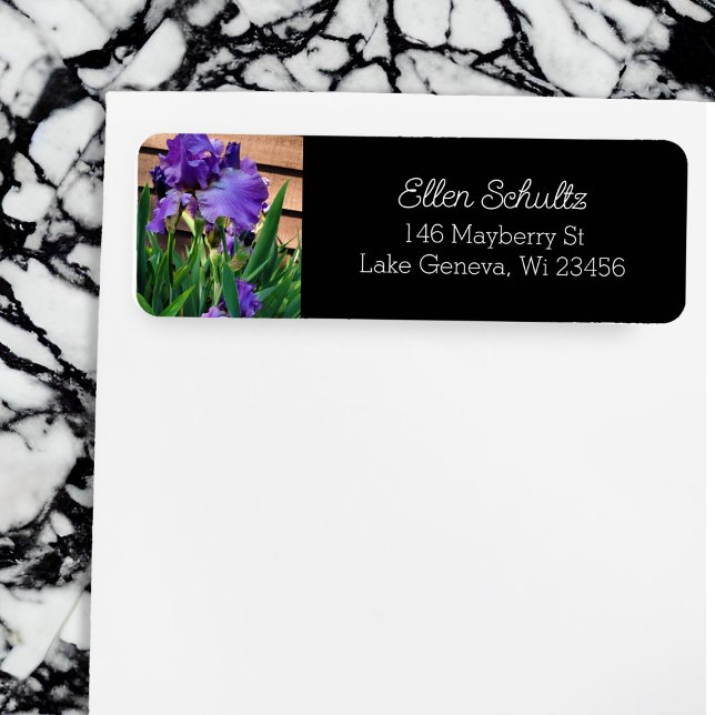 Pretty Purple Iris Flowers (Creator Uploaded)