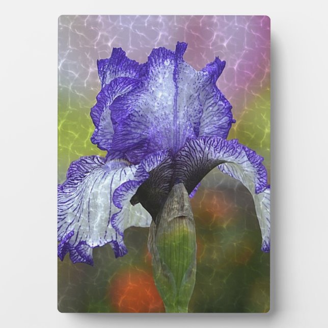 Pretty Purple Iris Plaque (Front)