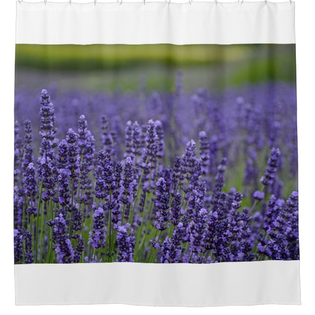 Pretty purple lavendar flowers (Front)