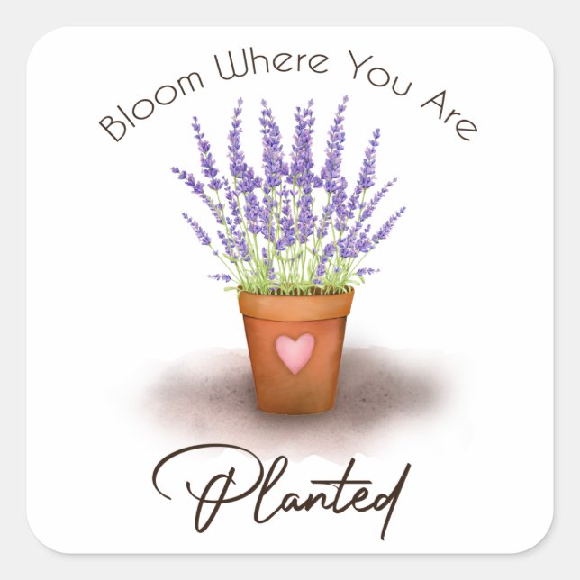 Pretty purple lavender plant pot bloom planted square sticker (Front)