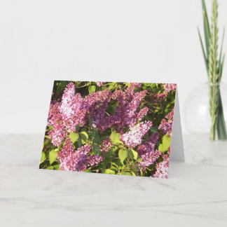Pretty Purple Lilacs Greeting Card