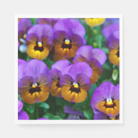 Pretty Purple Pansies