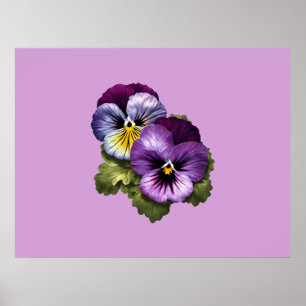 Pretty Purple Pansies Poster
