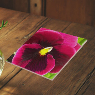 Pretty Purple Pansy Floral Tile