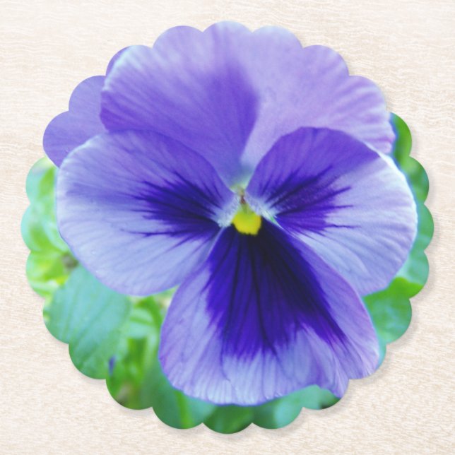 Pretty Purple Pansy Flower Paper Coaster (Front)