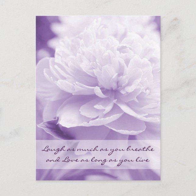 Pretty Purple Peony Postcard (Front)