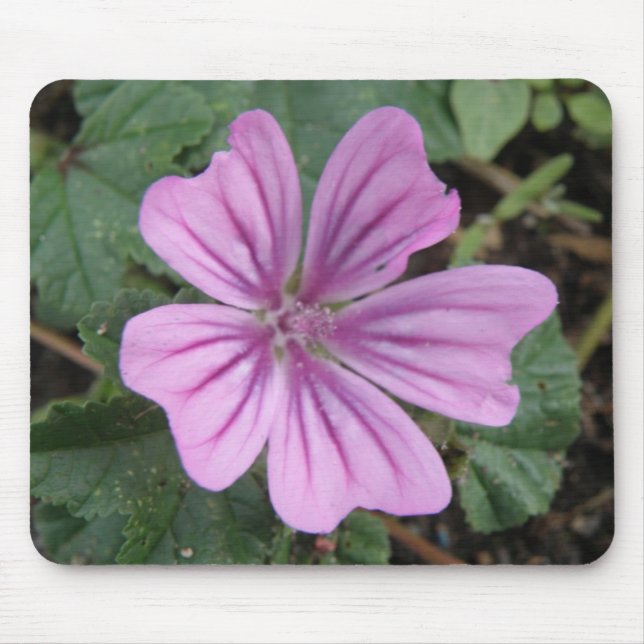 Pretty Purple Wildflower Mousepad (Front)