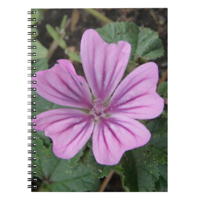 Pretty Purple Wildflower Notebook (Front)