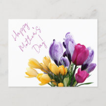 Pretty purple yellow pink tulip flowers for mom