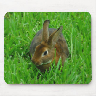 Pretty Rabbit Mouse Pad
